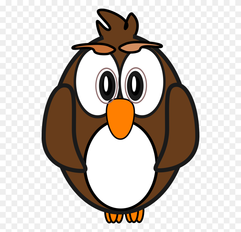 550x750 Little Owl Cartoon Animation Drawing - Owl Face Clipart