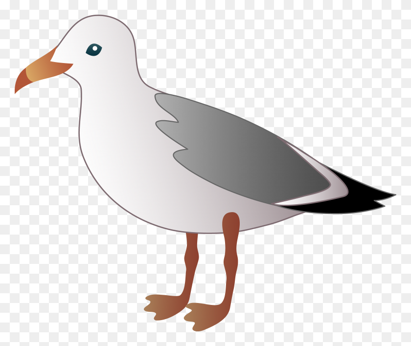 7458x6204 Little Seagull - Ocean Background Clipart