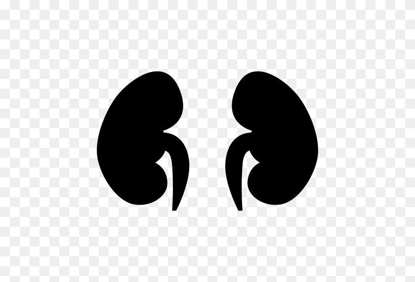 512x512 Liver, Gallbladder, Spleen Icon With Png And Vector Format - Spleen Clipart