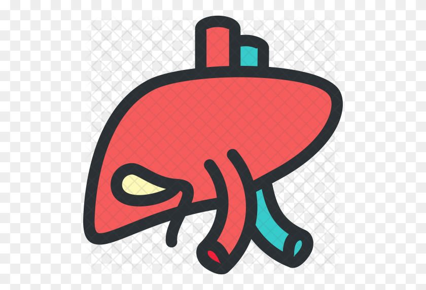 512x512 Liver Icon Png Png Image - Liver PNG