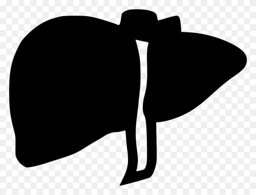 980x730 Liver Png Icon Free Download - Liver PNG