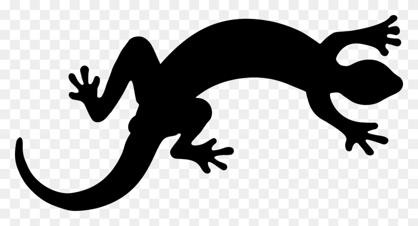 1481x750 Lizard Chameleons Komodo Dragon Reptile Gecko - Salamander Clipart