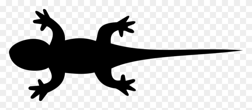 863x340 Lizard Reptile Salamander Lacertids Gecko - Iguana Clipart Black And White