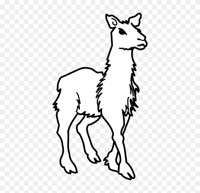 446x750 Llama Alpaca Evolución De Dibujo De Iconos De Equipo - Cabra Blanca De Imágenes Prediseñadas