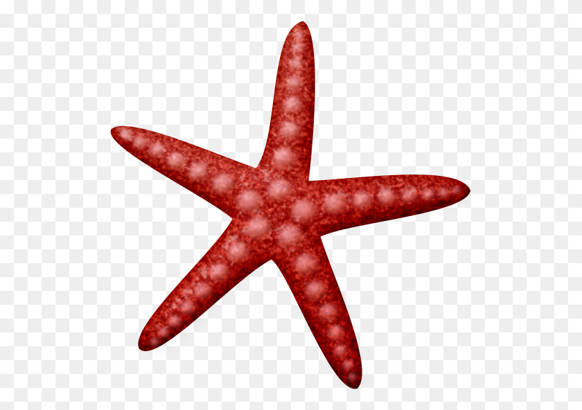 521x532 Морская Звезда Lliella Deniz, Клип - Летнее Время Клипарт