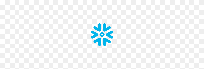 225x225 Load Data To Snowflake Data Warehouse From Facebook, Instagram - Snowflakes PNG Transparent