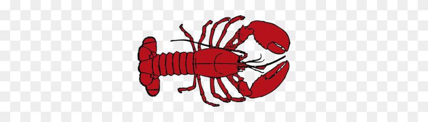 300x180 Lobster Clip Art Black And White - Crawfish Boil Clipart
