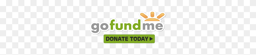 260x122 Local Support - Gofundme Logo PNG