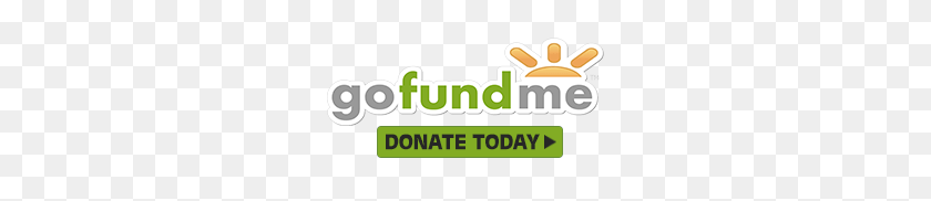 260x122 Soporte Local - Logotipo De Gofundme Png