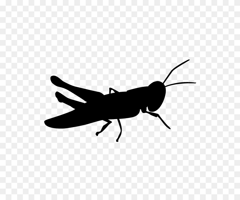 640x640 Locust Animal Silhouette Free Illustrations - Locust Clipart