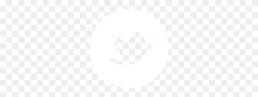 256x256 Log - Twitter Logo White PNG