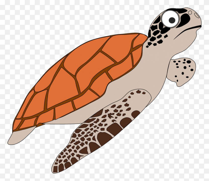873x750 Головорез Морская Черепаха Зеленая Морская Черепаха Рептилия - Морская Черепаха Клипарт