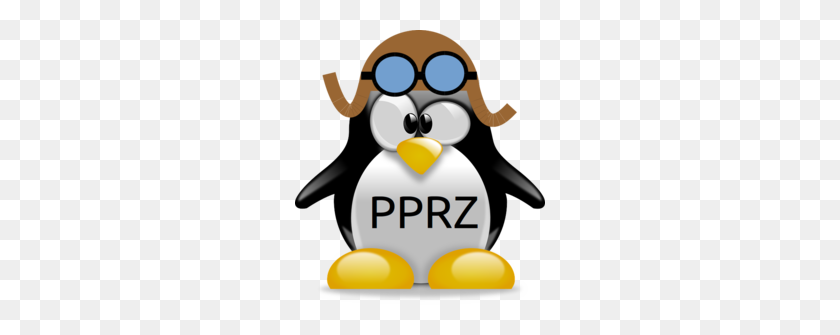 250x275 Logo - Paparazzi Logo PNG