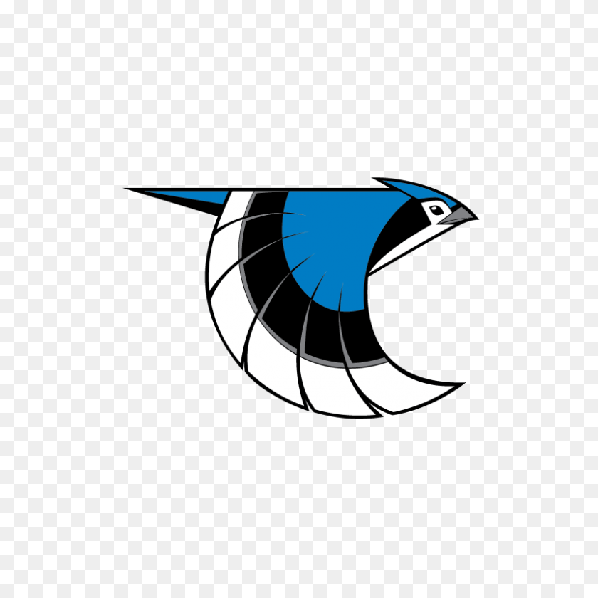 800x800 Logo Bank Athletic Knit Ak - Blue Jays Logo PNG