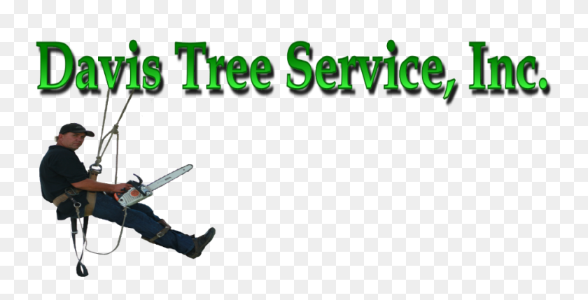 950x450 Logo Davis Tree Service - Tree Service Clip Art