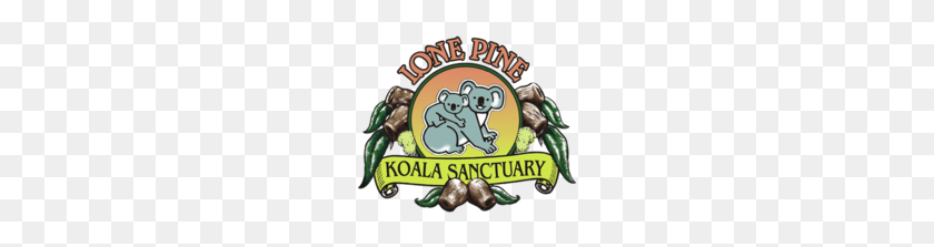 200x163 Lone Pine Koala Sanctuary - Koala Png
