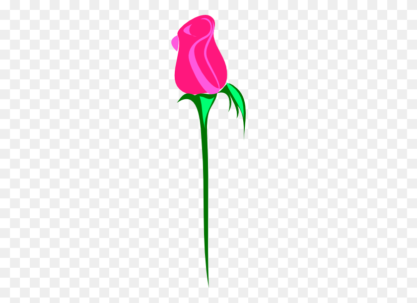 150x551 Long Clipart Rose Bud - Pink Rose Clipart