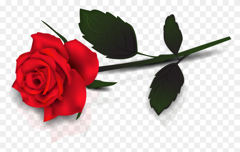 1568x951 Long Clipart Rose Flower - Rose Clipart Transparent