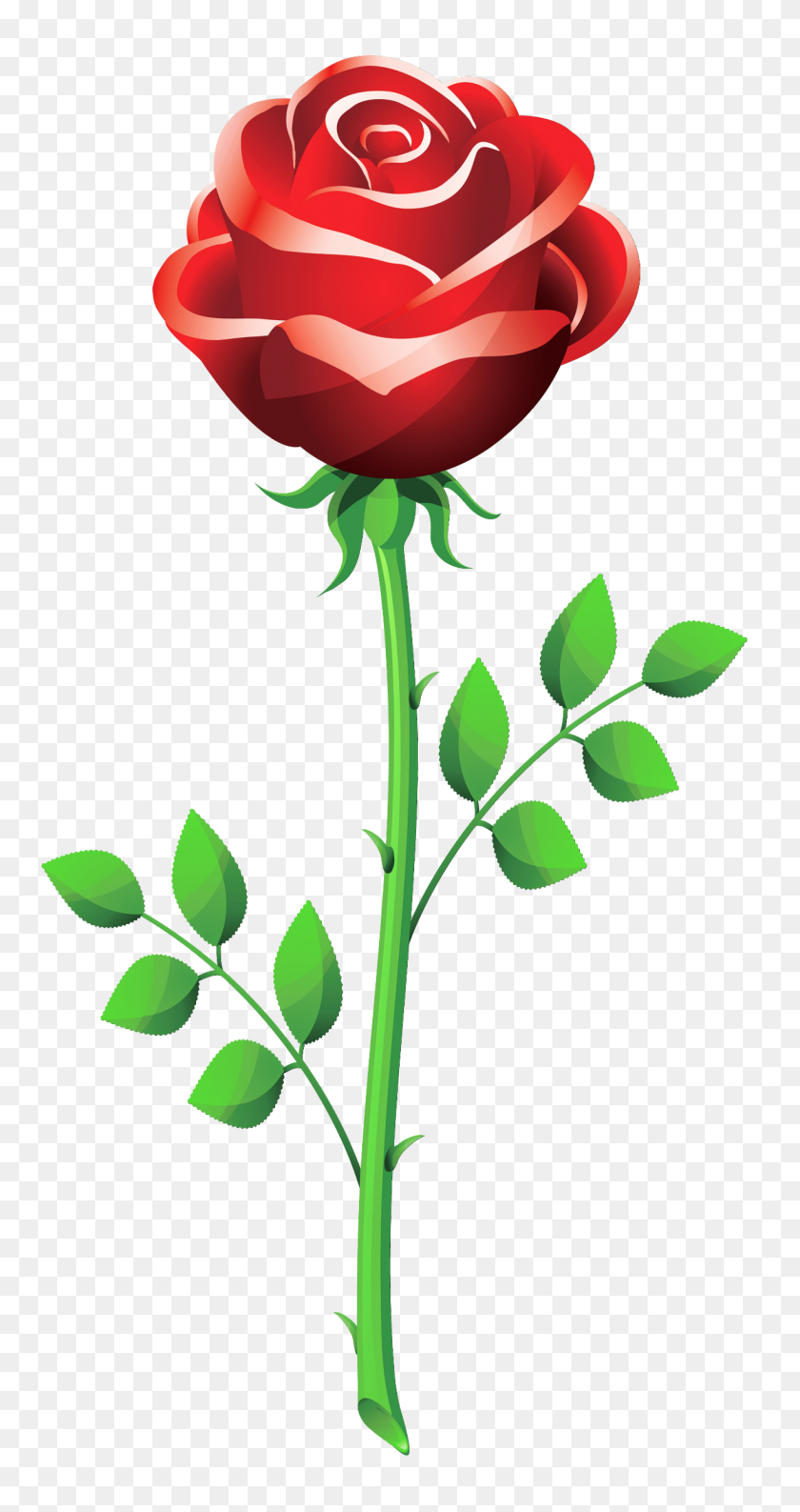 1223x2395 Long Stem Red Rose Beauty And The Beast Clip Art - Beauty And The Beast Clipart Rose