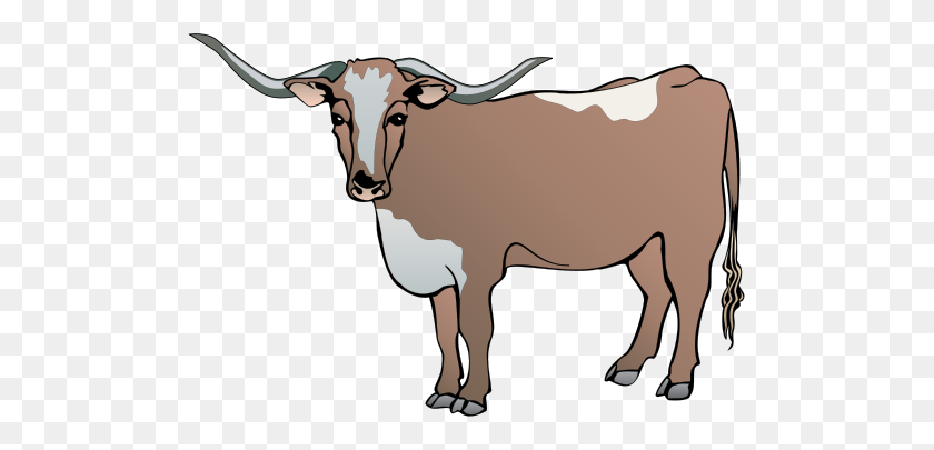 501x345 Longhorn Cattle Clipart Drawing - Cow Skull PNG