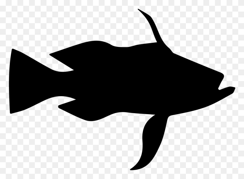 981x702 Longtail Bass Fish Shape Png Icon Free Download - Bass Fish PNG