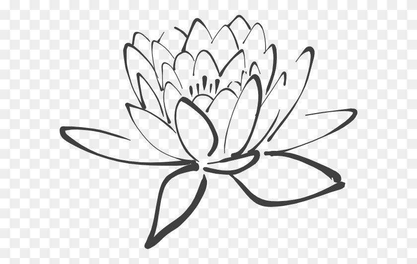 600x472 Lotus Flower Outline - White Lily Clipart