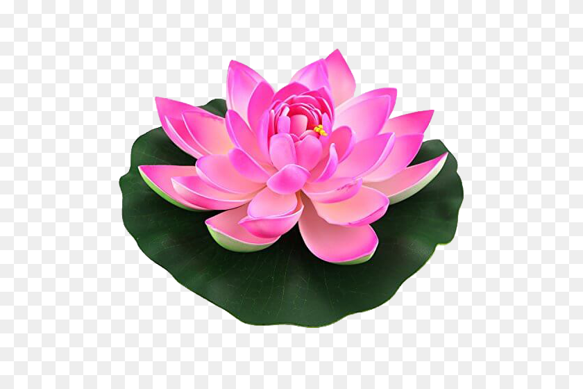 500x500 Lotus Png Hd Background - Lotus PNG