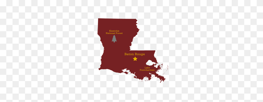 300x267 Louisiana Njdc - Louisiana PNG