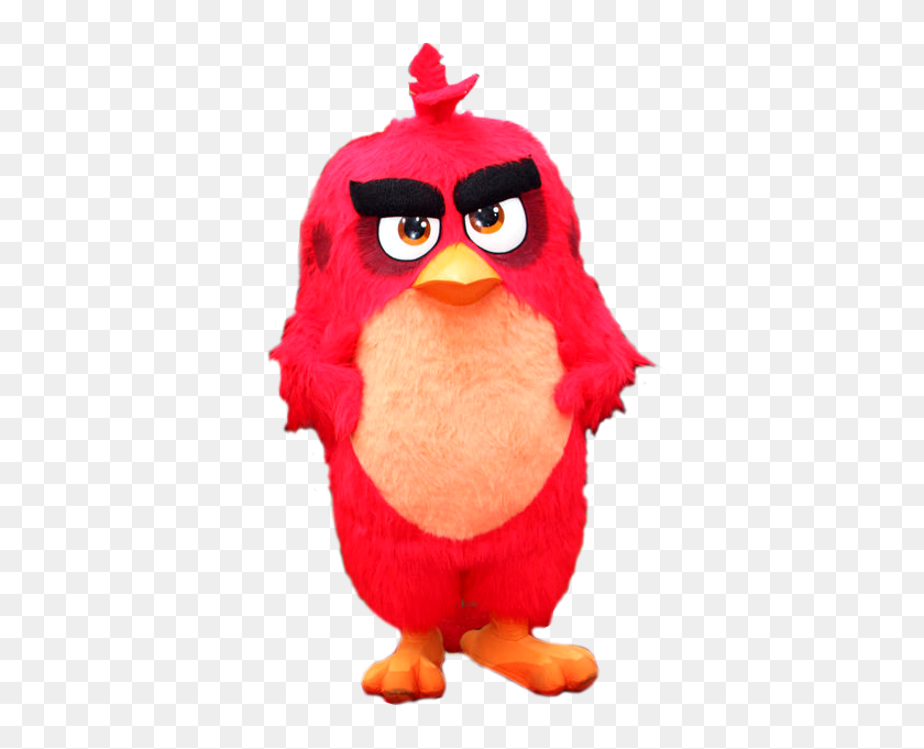 384x621 Zoológico De Louisville - Angry Birds Png