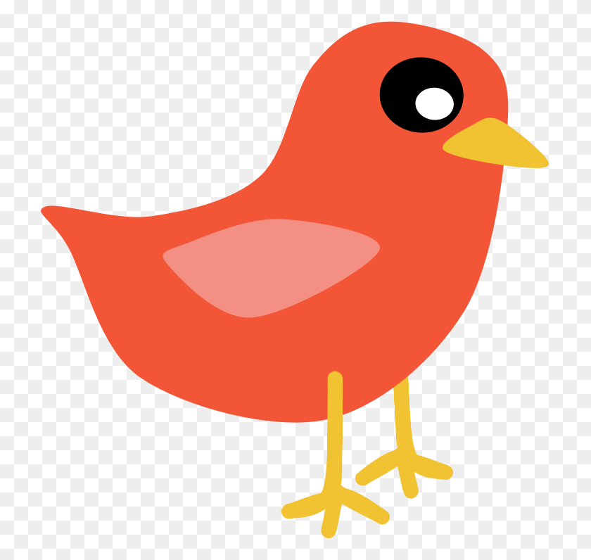 723x736 Love Birds Clipart Beautiful Bird - Cute Bird Clipart