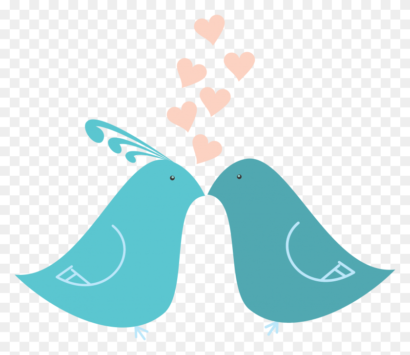 2368x2027 Pájaros De Amor Png Clipart - Amor Png