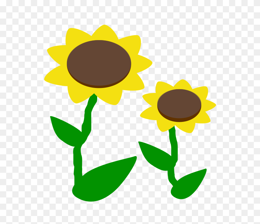 666x666 Lovely Color Icons And Clip Art - Sunflower Images Clip Art