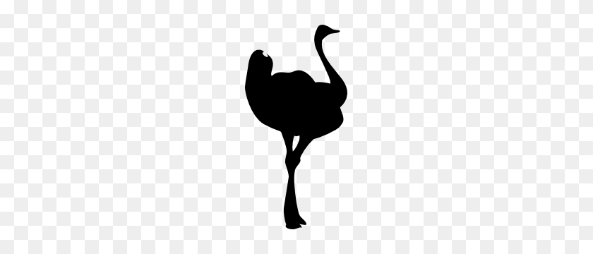 300x300 Lovely Ostrich Sticker - Ostrich Clipart Black And White
