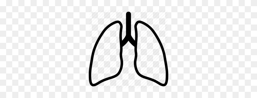 260x260 Lung Cancer Clipart - Pneumonia Clipart