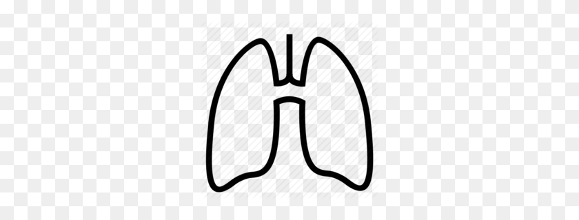 260x260 Lung Clipart - Respiratory Therapist Clipart
