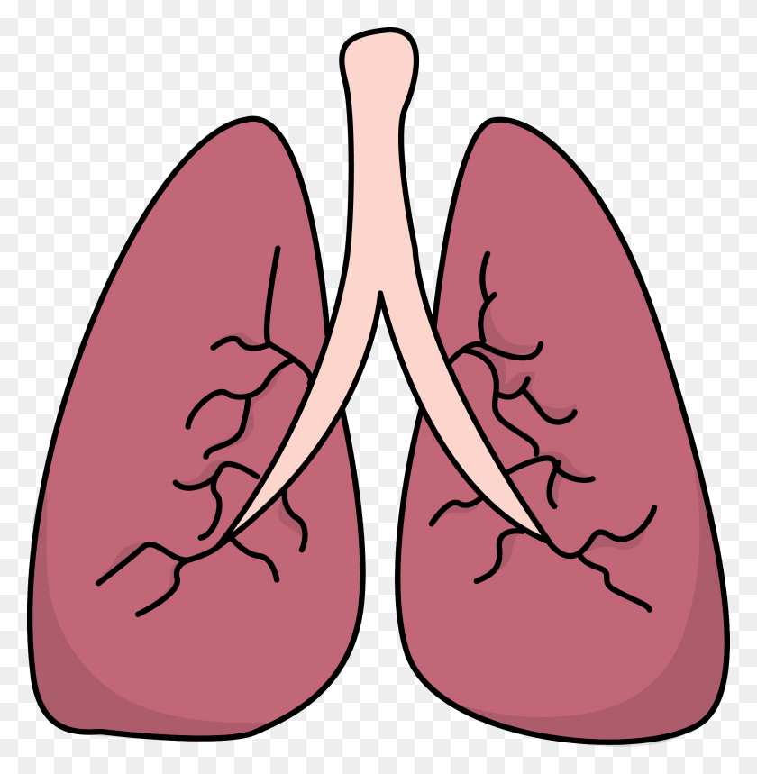 2107x2160 Lung Clipart - Void Clipart