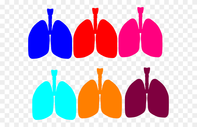 600x479 Lung Color Tika Clip Art - Rib Cage Clipart