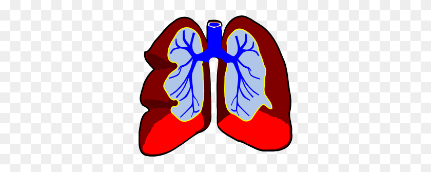 300x275 Lung Color Tika Clip Art - Anatomy Clipart
