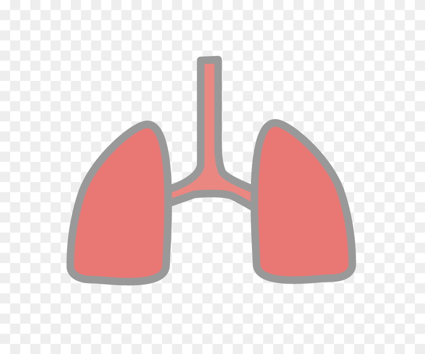 640x640 Lung Free Icon Free Clip Art Illustration Material - Piggy Bank Clipart Free