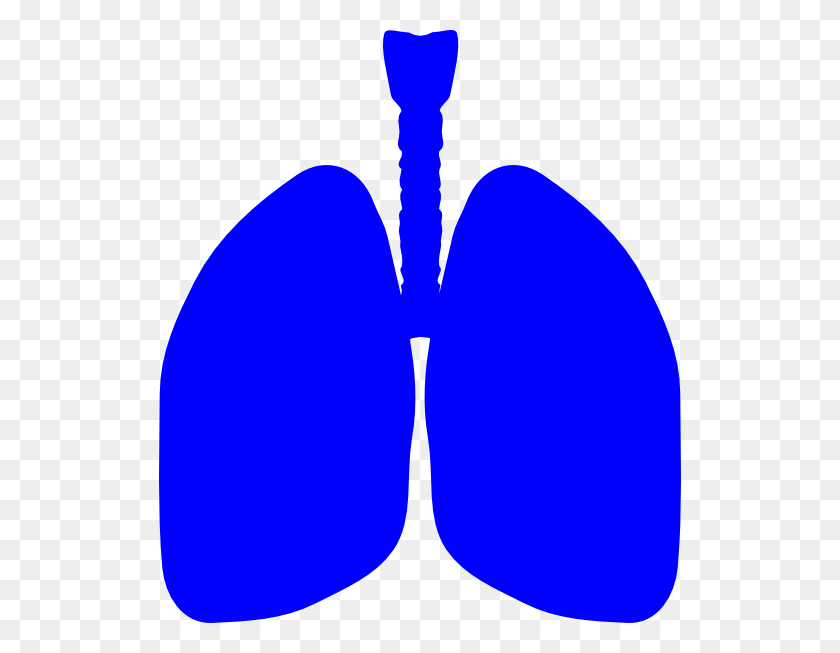 522x593 Lung Patient Celebration Image Clip Art - Lungs Clipart