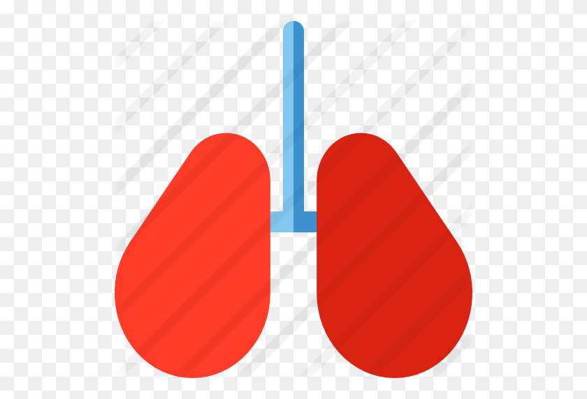 512x512 Lungs - Lungs PNG