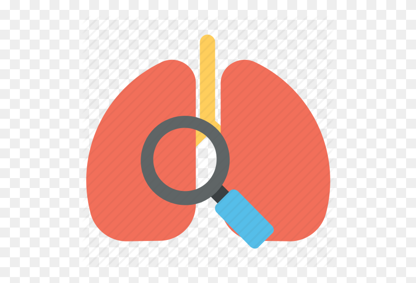 512x512 Lungs Disease, Lungs Investigation, Lungs Test, Lungs Treatment - Respiratory Therapist Clipart