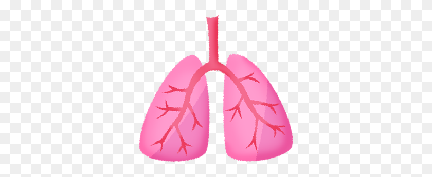 300x285 Lungs Free Clipart Illustrations - Lungs Clipart