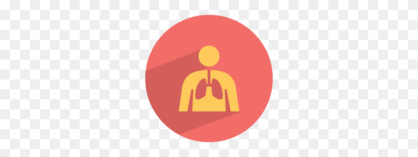 256x256 Lungs Icon Medical Health Iconset Graphicloads - Lungs PNG