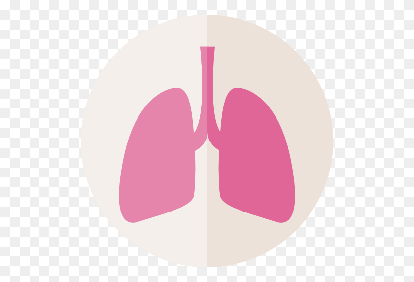 512x512 Lungs Icon Pictures - Lungs PNG