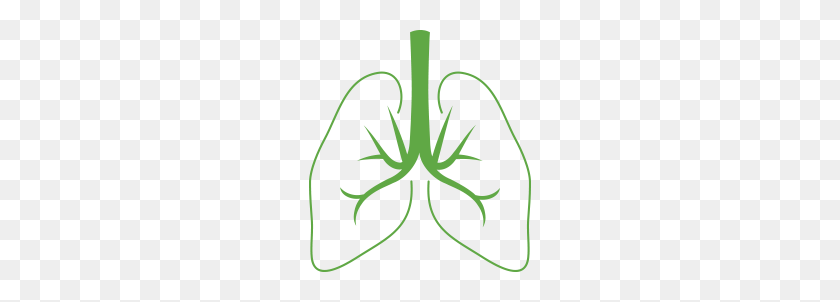 222x242 Lungs Icon University Health Center - Lungs PNG