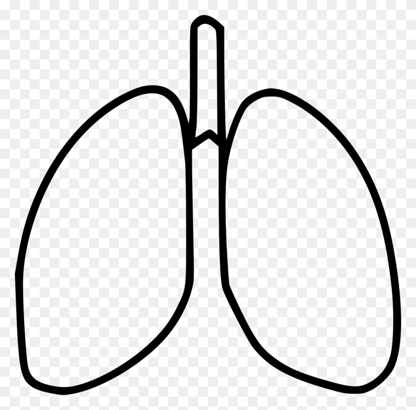 980x964 Lungs Png Icon Free Download - Lungs PNG
