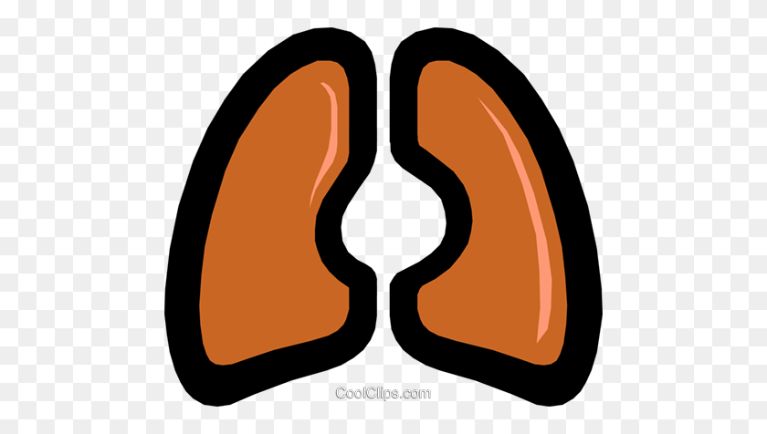 480x416 Lungs Royalty Free Vector Clip Art Illustration - Lungs Clipart