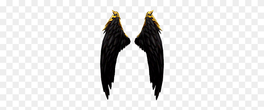 204x290 Mabinogi - Angel Wings PNG