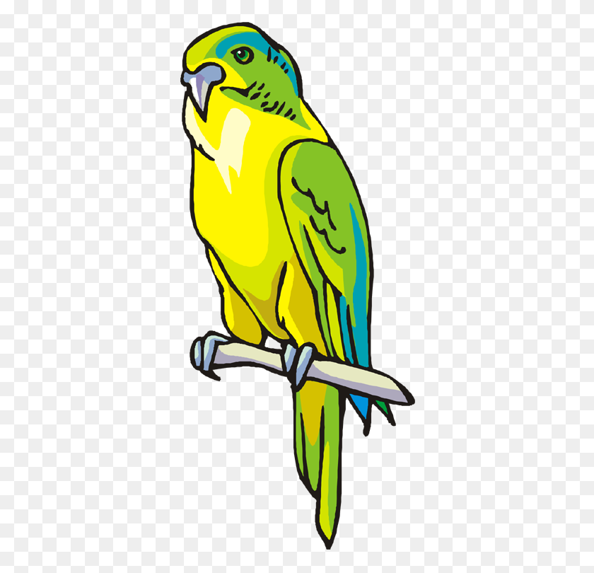 336x750 Macaw Clipart Parakeet - Cockatoo Clipart